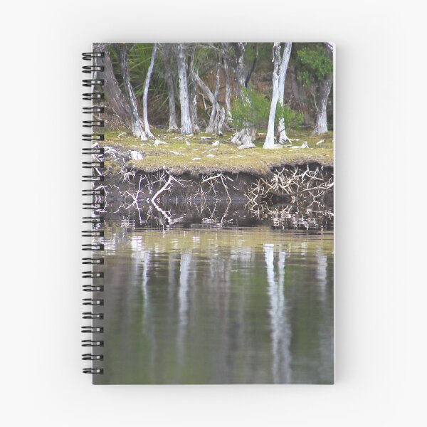 Item preview, Reflections Along Melaleuca Creek designed and sold by Carole-Anne.
