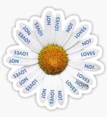 Loves Me? Loves Me Not? Sticker