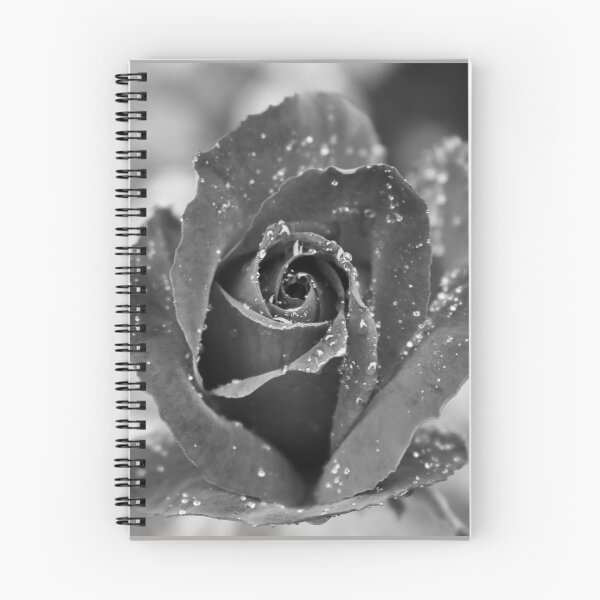 Item preview, Red Rose in B&W designed and sold by Tony Waite.