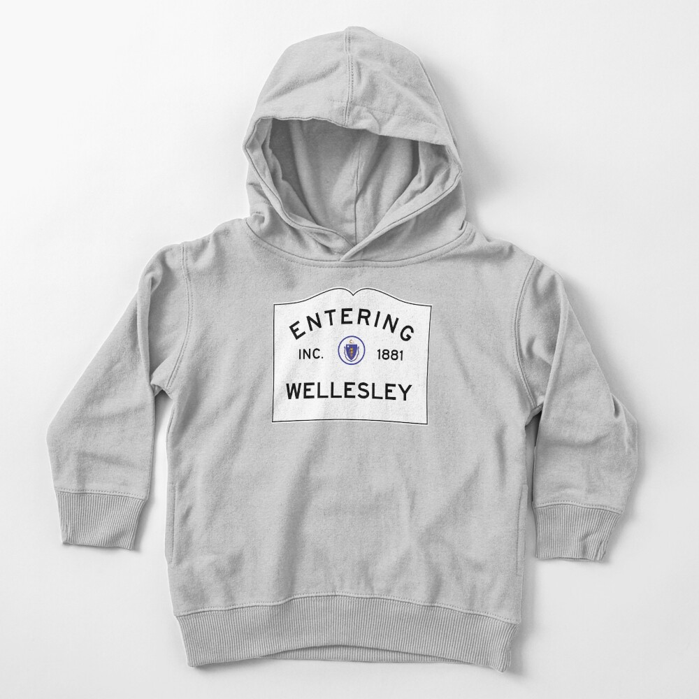 Entering Wellesley - Commonwealth of Massachusetts Road Sign Toddler Pullover Hoodie
