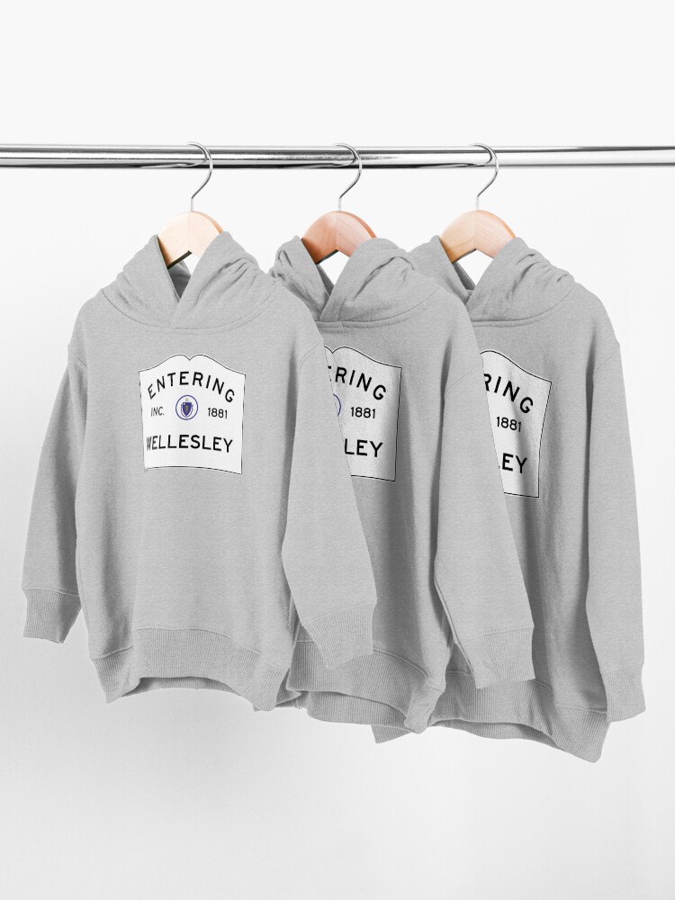 Alternate view of Entering Wellesley - Commonwealth of Massachusetts Road Sign Toddler Pullover Hoodie