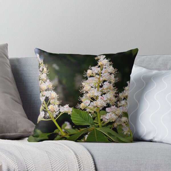 Item preview, Aesculus  (flower) 2  / Kwiat kasztanowca 2 designed and sold by MarekM.