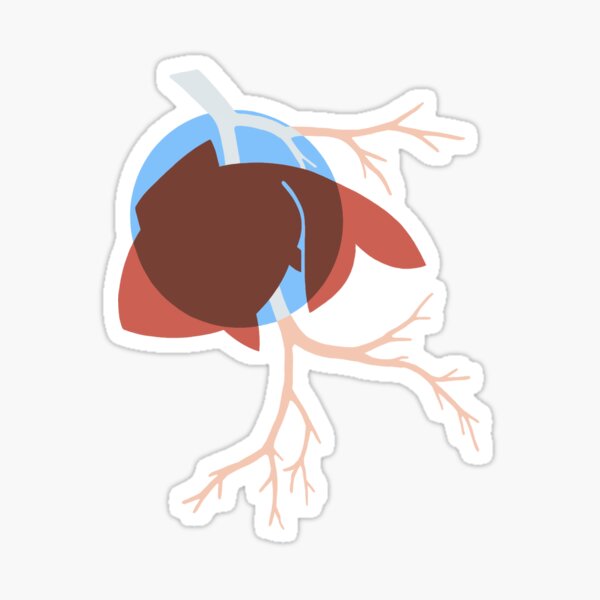 Fish Sticker