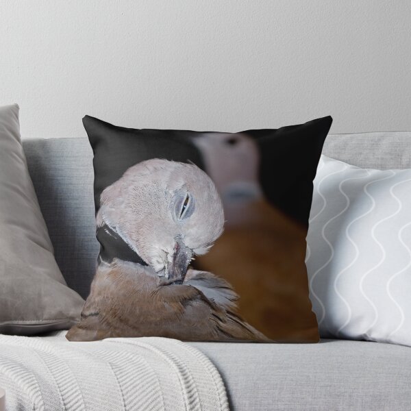 Item preview, Sleepy bird designed and sold by MarekM.