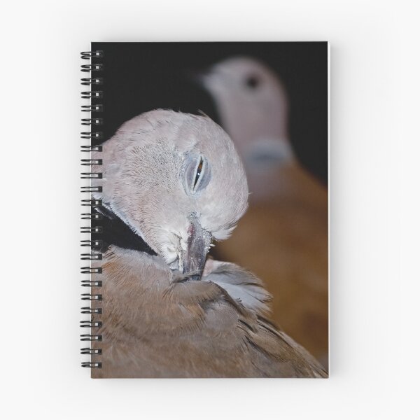 Item preview, Sleepy bird designed and sold by MarekM.