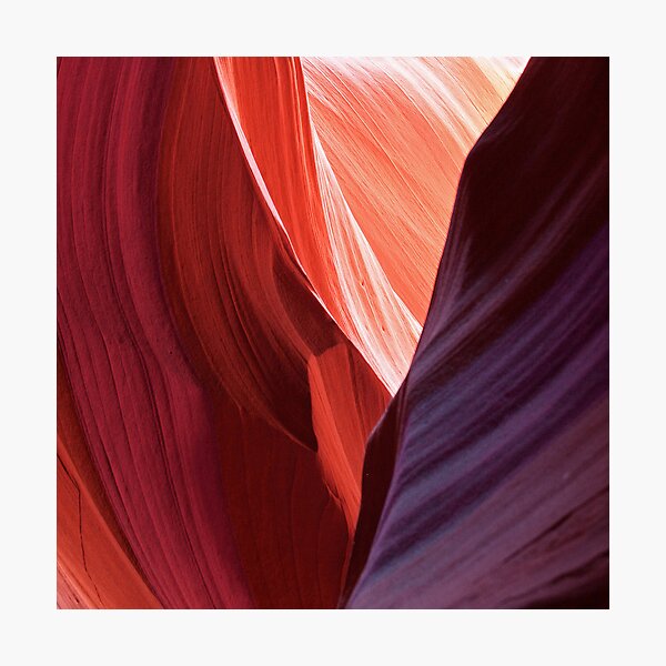 Antelope Abstract 1 Photographic Print