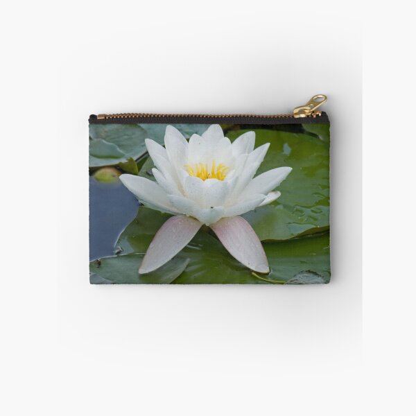 Item preview, Nymphaea alba designed and sold by MarekM.