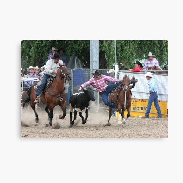 Moruya Rodeo New Years Day 2010 Canvas Print