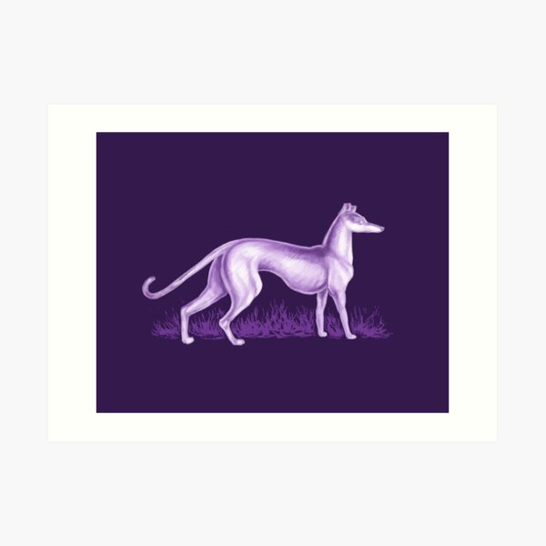 Purple Whippet Art Print
