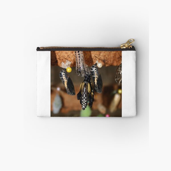 Item preview, Butterfly Emerging From a Cocoon designed and sold by rhamm.