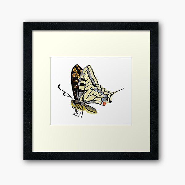 Butterfly - Laudea Martin Framed Art Print