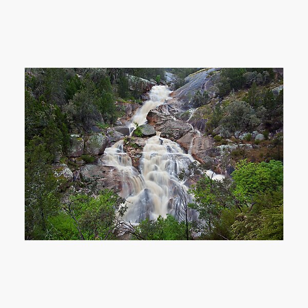 Item preview, Spring Creek Cascades designed and sold by Travis Easton.