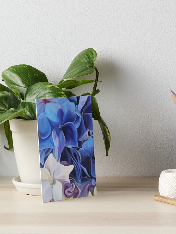 Lámina rígida «Hortensias azules y blancas» de SabineKehoe | Redbubble