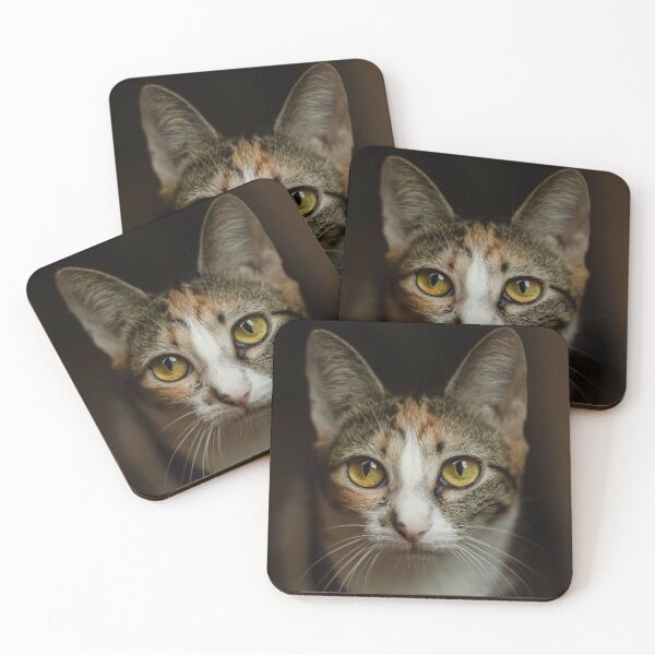 Item preview, Faithful cat designed and sold by wolfgangrainer.