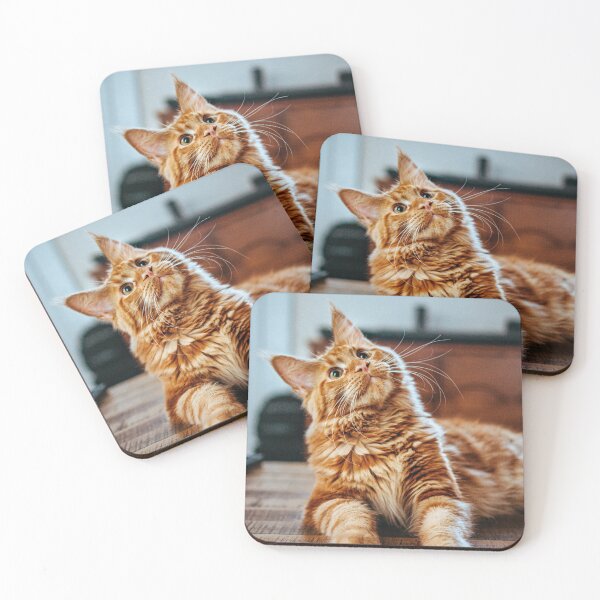 Item preview, Cat on table designed and sold by wolfgangrainer.