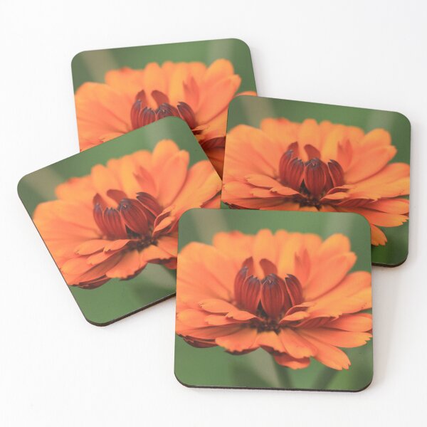 Item preview, Orange Petals designed and sold by coffeebean.