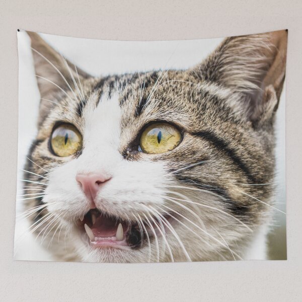 Item preview, Cat shows teeth designed and sold by wolfgangrainer.