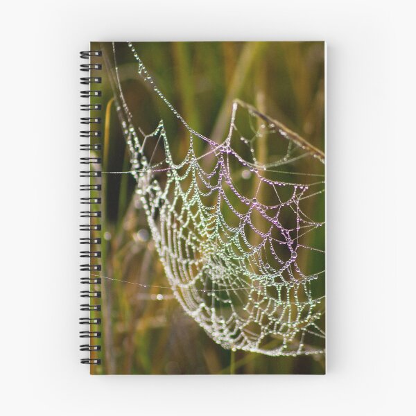 Aperçu de l'œuvre Lumières Web créée et vendue par Steve Chapple.