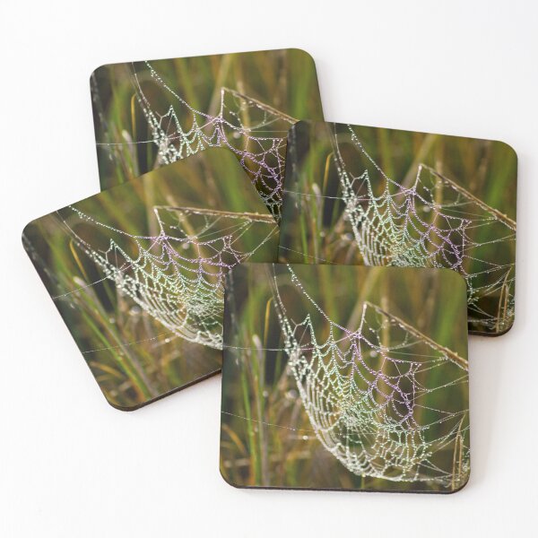 Item preview, Web lights designed and sold by Steve Chapple.