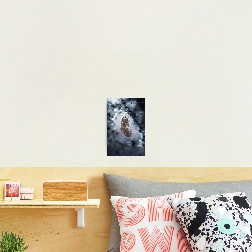 Item preview, Photographic Print designed and sold by StephenChapple.
