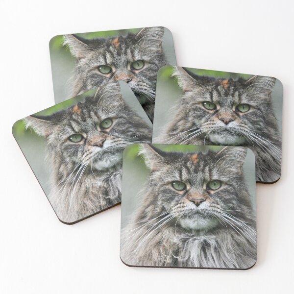 Item preview, Wise cat designed and sold by wolfgangrainer.
