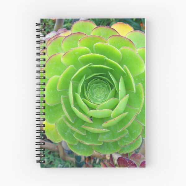 Item preview, Monterey Aeonium  designed and sold by Robert Meyers-Lussier.