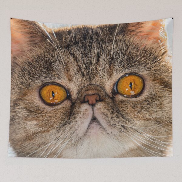 Item preview, Cat is watching designed and sold by wolfgangrainer.