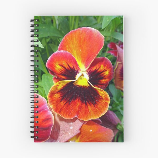 Item preview, Sunset Pansy designed and sold by Robert Meyers-Lussier.