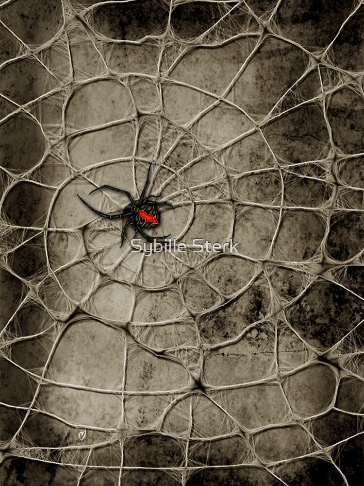 Spider - iPhone Case by MagpieMagic