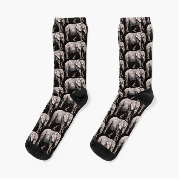 Majestic African Elefant bull for black background Socks