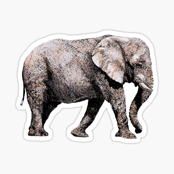 Majestic African Elefant bull for black background Sticker