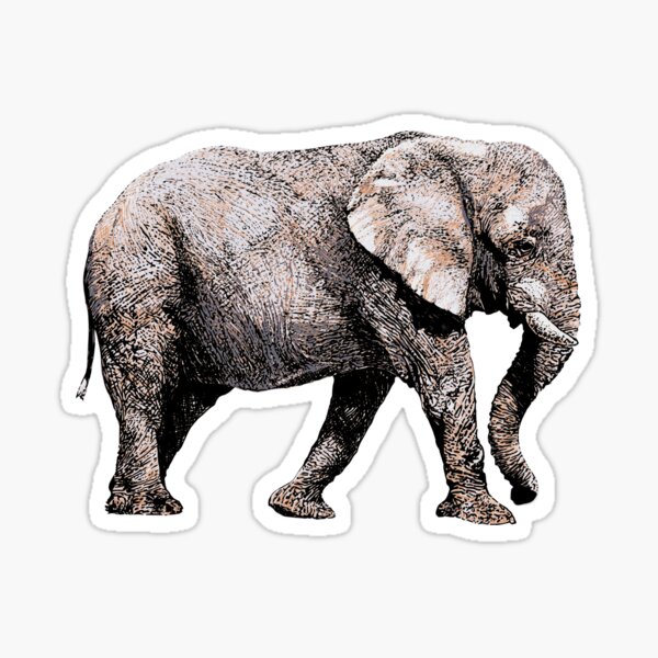 Majestic African Elefant bull on green background Sticker