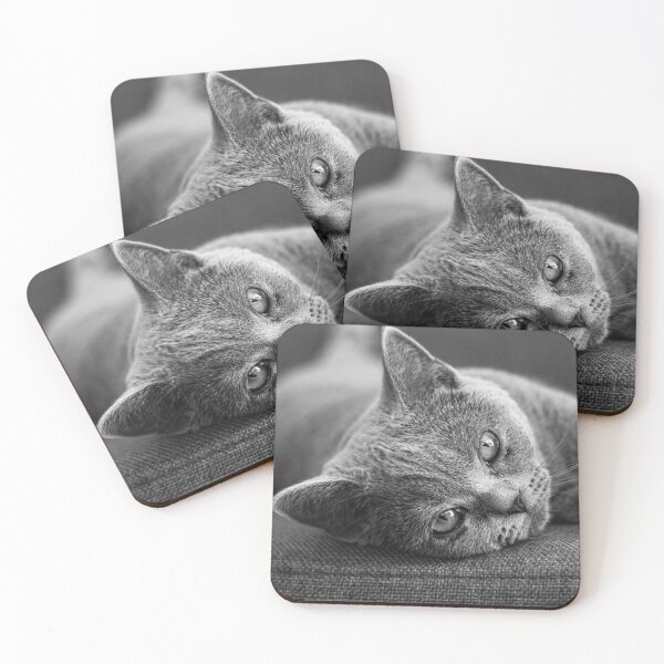Item preview, Cat black and white designed and sold by wolfgangrainer.