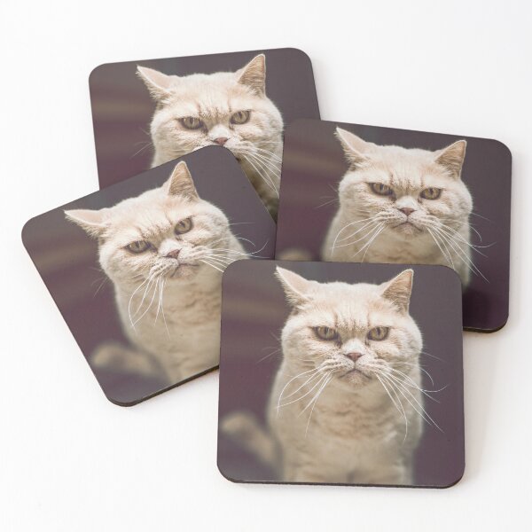 Item preview, Attentive cat designed and sold by wolfgangrainer.
