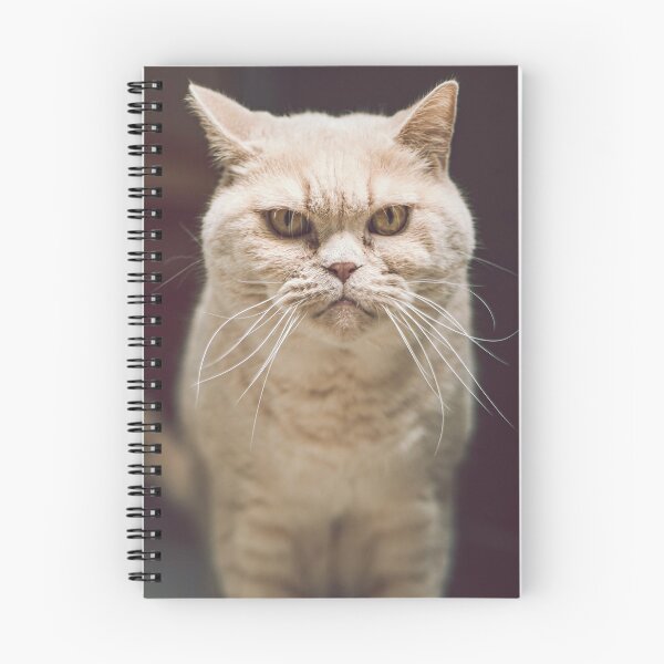 Item preview, Attentive cat designed and sold by wolfgangrainer.