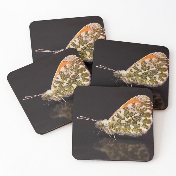 Item preview, Orange-tip Butterfly Portrait designed and sold by Dan Newton.