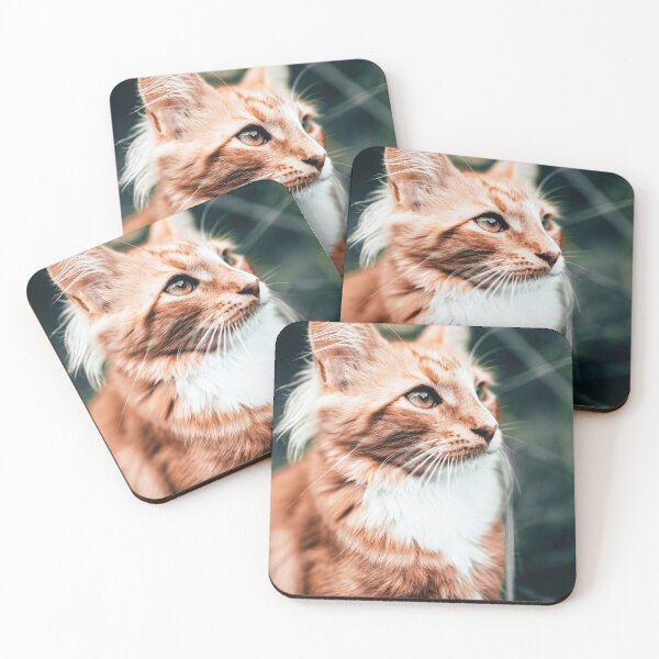 Item preview, Curious cat designed and sold by wolfgangrainer.