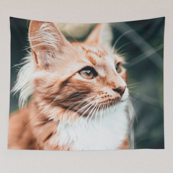 Item preview, Curious cat designed and sold by wolfgangrainer.