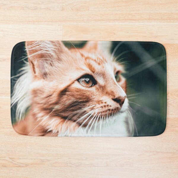 Item preview, Curious cat designed and sold by wolfgangrainer.