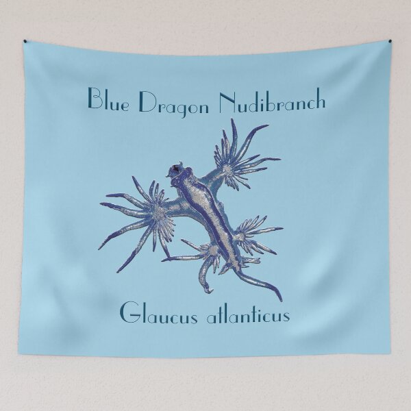 Item preview, The Blue Dragon Nudibranch by Chrissy Wild  designed and sold by ChrissyWild.