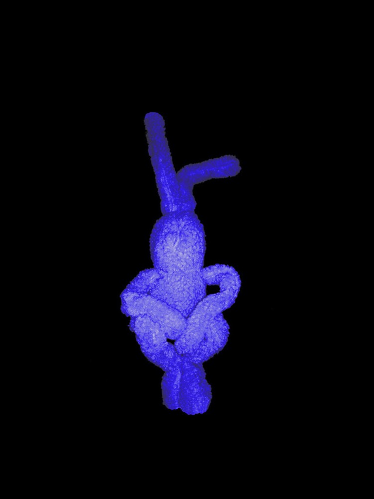 "Indigo Bunny" - phone by michellelee