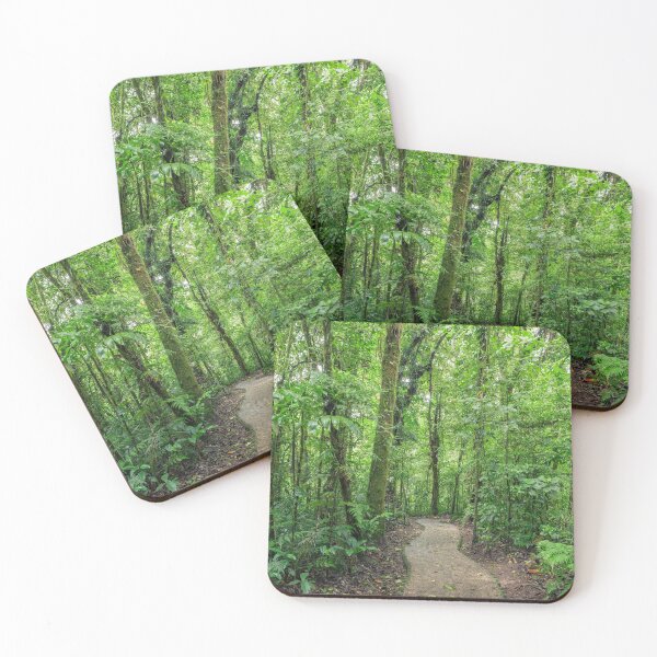 Item preview, Path in Monteverde cloud forest Costa Rica designed and sold by Juhku.