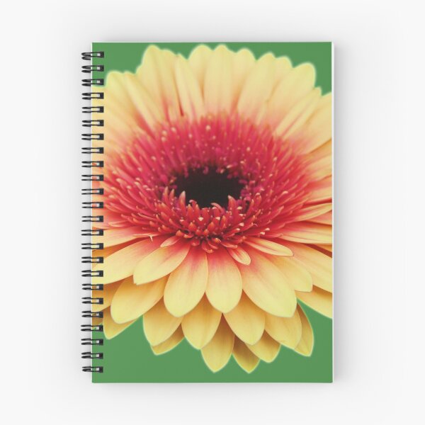 Item preview, Gerbera 6 designed and sold by michelofya.