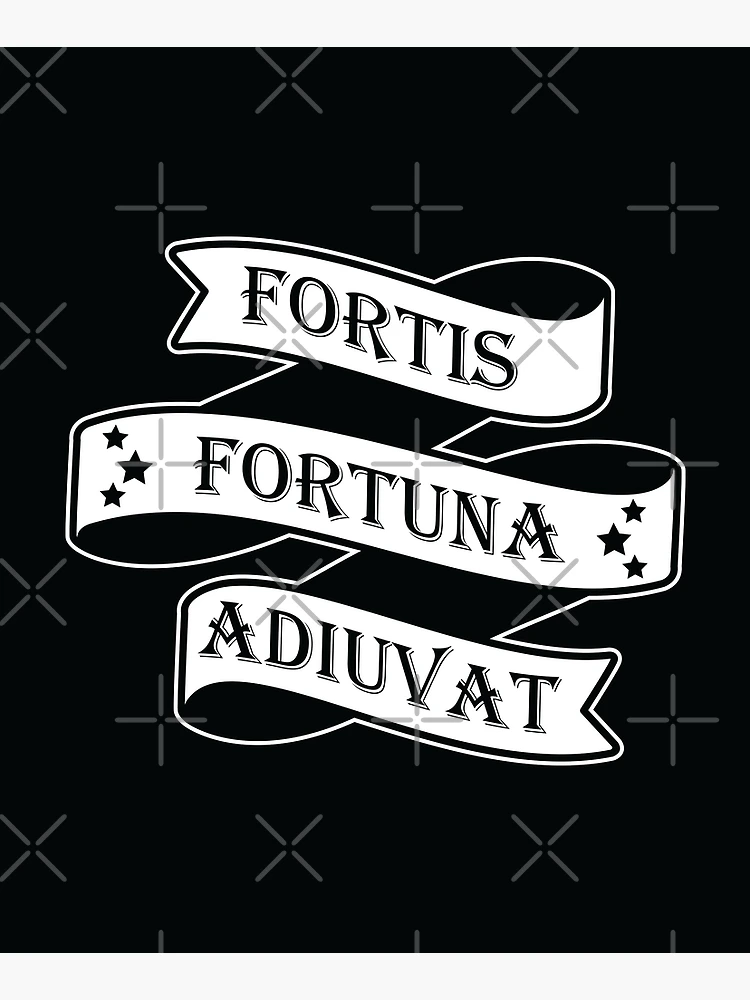 Sign Fortes fortuna adjuvat - Fortune favors the brave. White wooden wall,  boards. Old white rustic wood background, wooden surface Stock Photo - Alamy