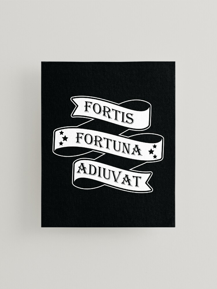 Sign Fortes fortuna adjuvat - Fortune favors the brave. White wooden wall,  boards. Old white rustic wood background, wooden surface Stock Photo - Alamy