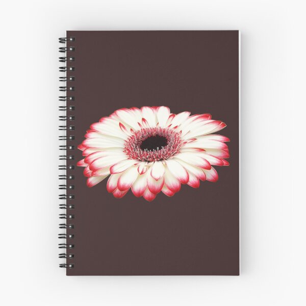 Item preview, Gerbera 3 designed and sold by michelofya.