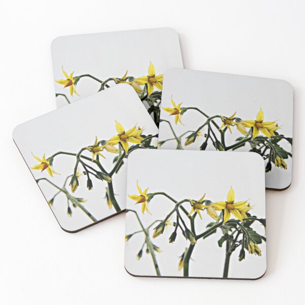 Item preview, Tomato Flowering designed and sold by michelofya.