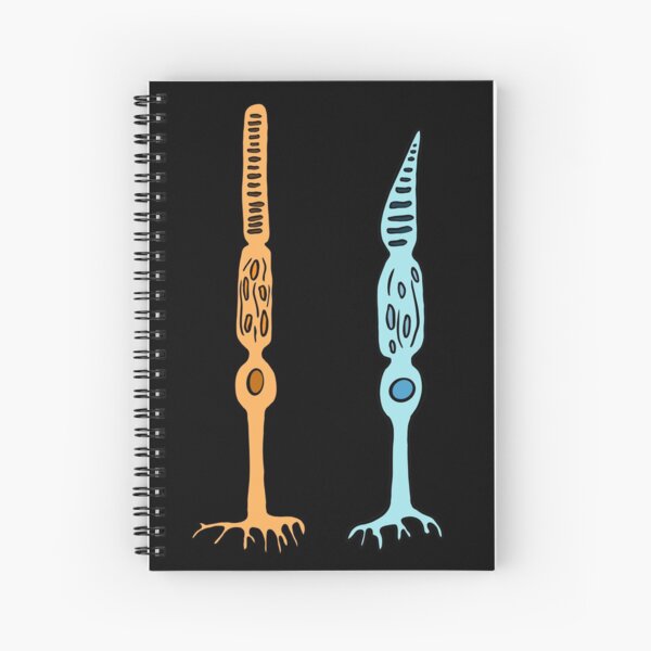 Fotorreceptores Varillas Y Conos - Ojos Cuaderno de espiral