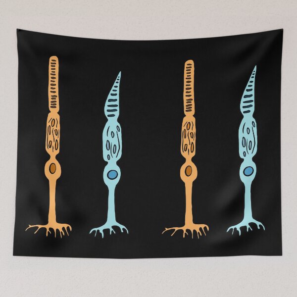 Item preview, Photoreceptors Rods And Cones - Eyes designed and sold by BundaBear.