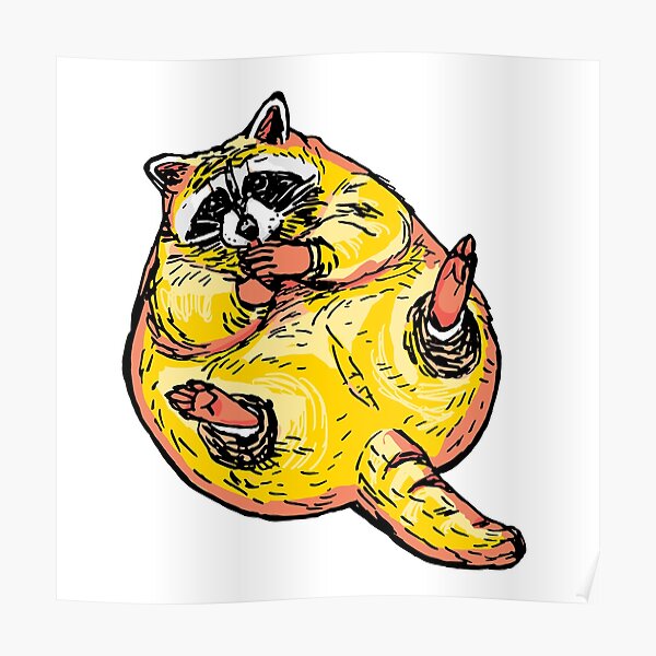 Fat Raccoon Posters | Redbubble